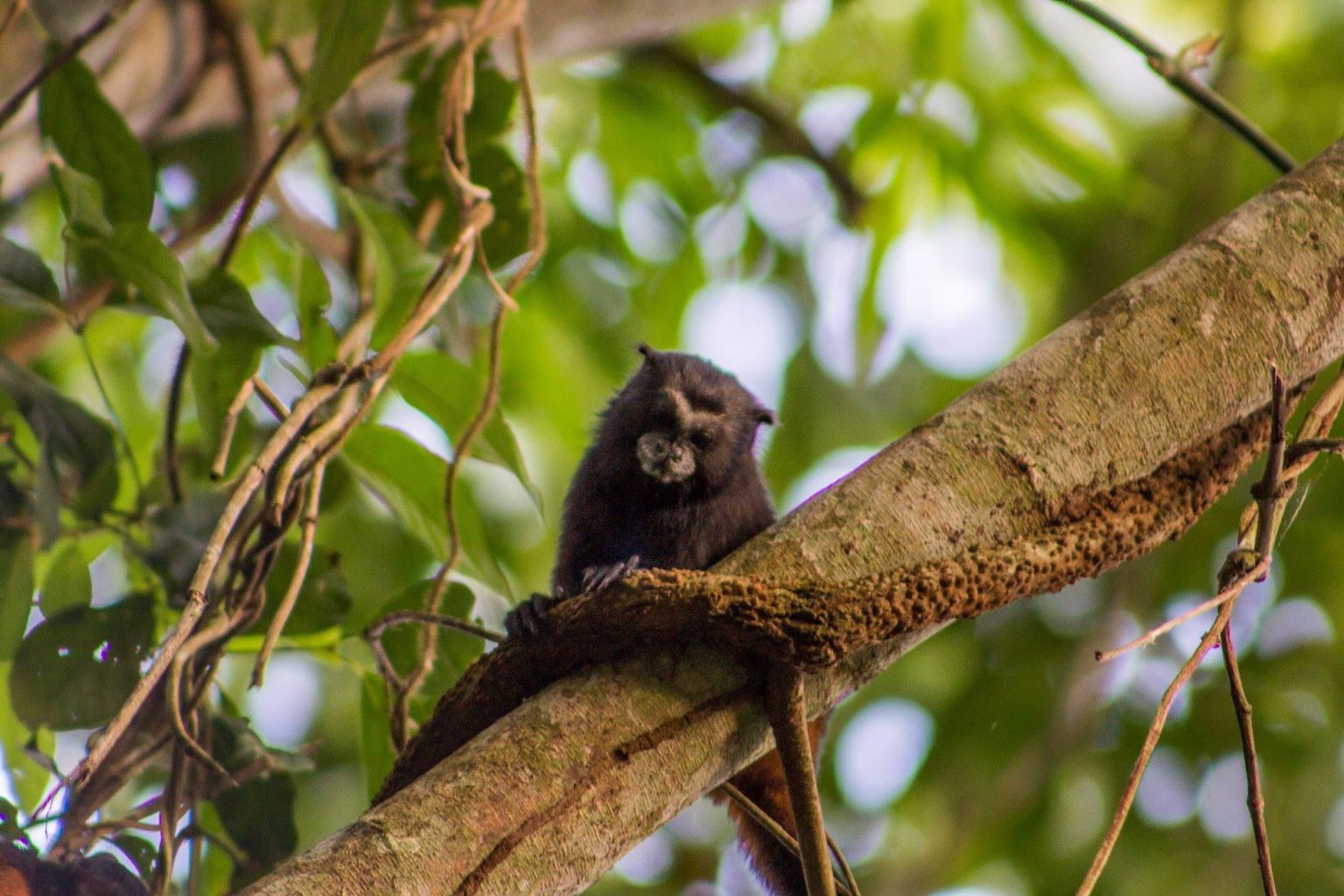 See Our Trail Sightings